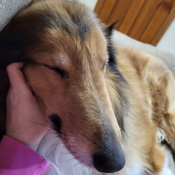 PLSreadBEFOREbuying! - Picture 4 of 16